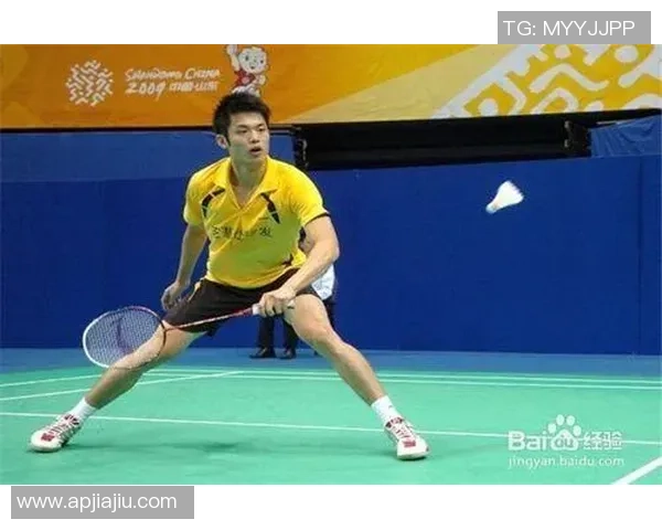 深圳羽毛球队进攻战术解析与实战应用探讨